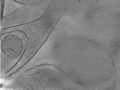 key visualization for Position007