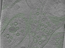 key visualization for Position011