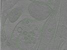 key visualization for Position014