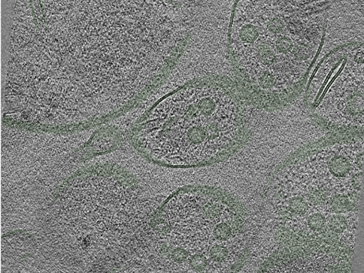 key visualization for Position017
