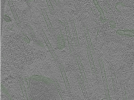 key visualization for Position018