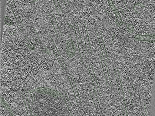 key visualization for Position018