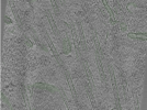 key visualization for Position018