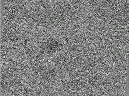key visualization for Position057