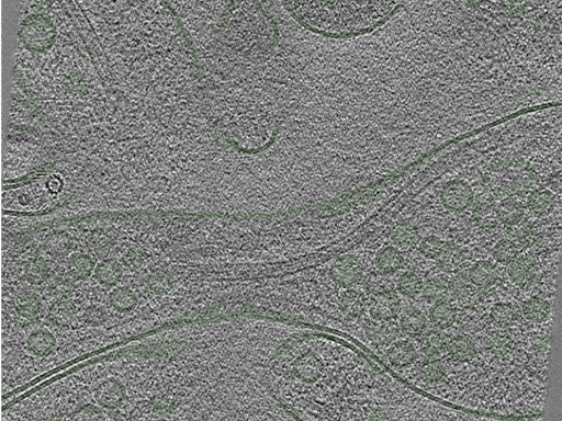 key visualization for Position060