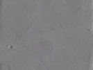 key visualization for Position003