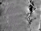 key visualization for Position005