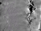 key visualization for Position005