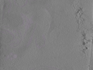 key visualization for Position009