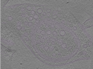 key visualization for Position004