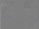 key visualization for Position007