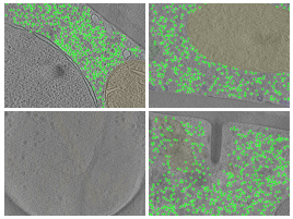 key visualization for DeePiCt Training and Evaluation Datasets