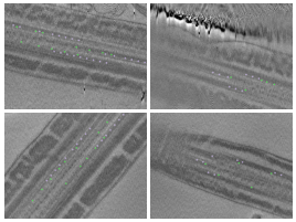 key visualization for Microtubule doublet from mouse sperm