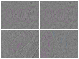 key visualization for Surface morphometrics of organellar membranes