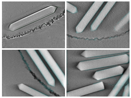 key visualization for membrain-seg gas vesicle shell predictions