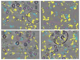 key visualization for CZ Imaging Institute simulated data